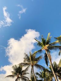 Low angle view of palm trees against blue sky