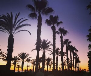 Silhouette palm trees against sky during sunset