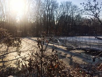 Scenic view of frozen river against sky during winter