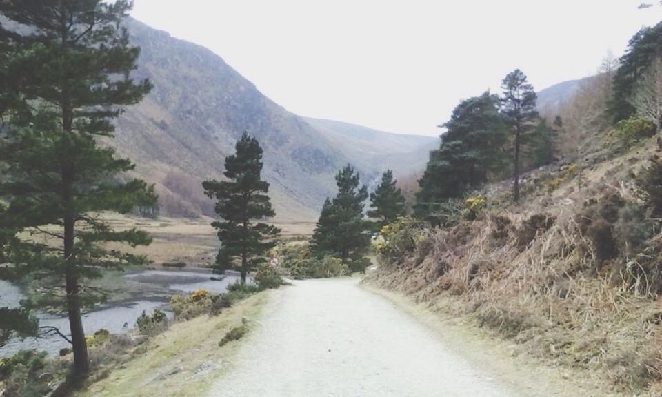 ROAD PASSING THROUGH MOUNTAINS