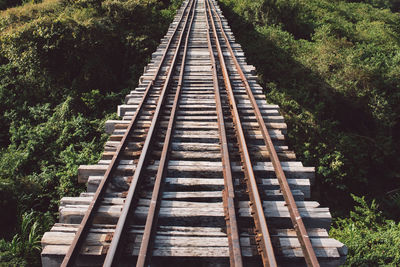 High angle view of railroad tracks amidst trees in forest