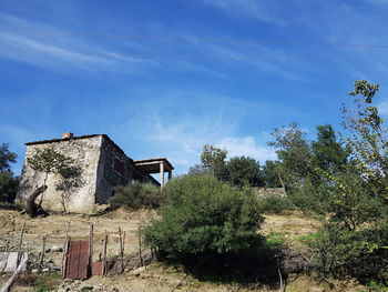 Plants growing on old building against sky