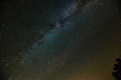 Low angle view of stars in sky at night