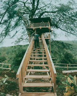 View of bridge in forest