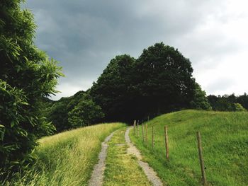 Tire tracks on grassy field by trees against cloudy sky