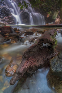 Scenic view of waterfall in forest