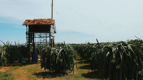 Traditional windmill on field against sky