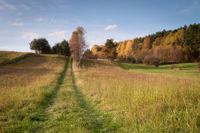 Scenic view of field against sky