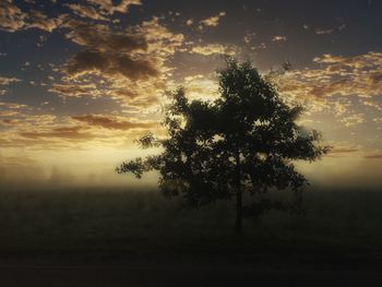 Silhouette tree against sky at sunset