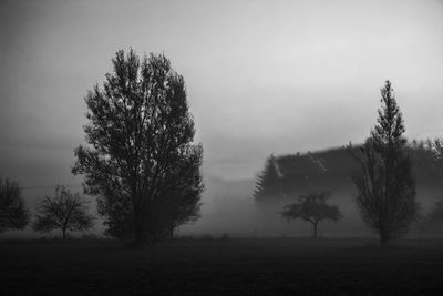 Trees on field against sky