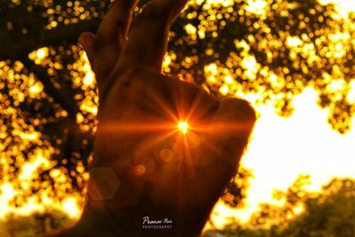 Close-up of hands against trees during sunset