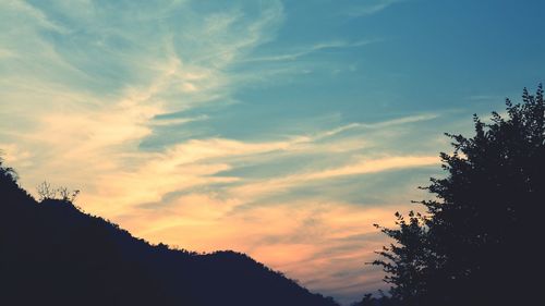 Low angle view of silhouette trees against sky