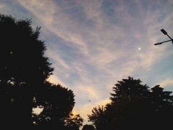 Low angle view of silhouette trees against cloudy sky