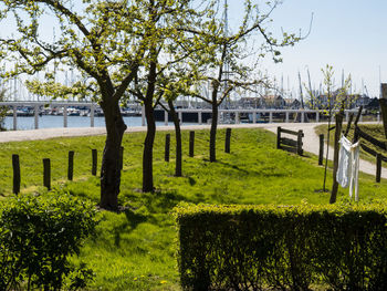 Enkhuizen in the netherlands