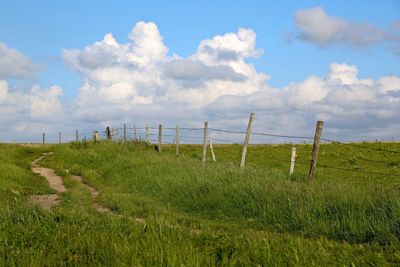 Fence on grassy field against cloudy sky