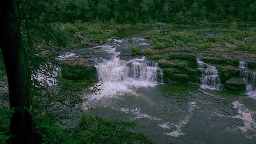 Scenic view of waterfall in forest