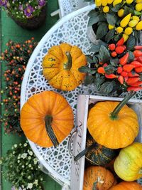High angle view of fruits