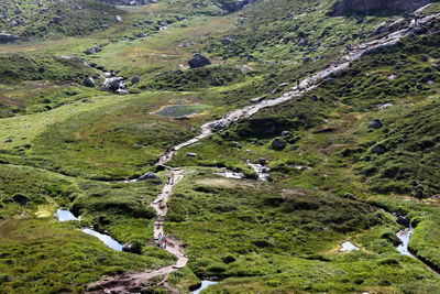 High angle view of green landscape