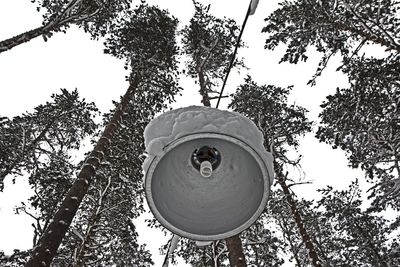 Low angle view of trees against sky