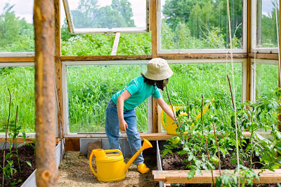 A little girl in a t-shirt and a panama, takes care of tomato bushes in a glass greenhouse in summer
