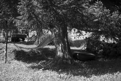 Car on road by trees in city