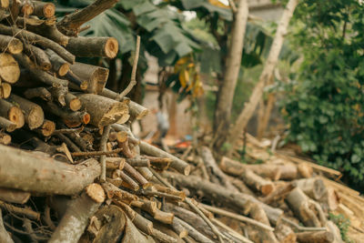 Stacked firewood with working man in background