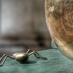 Close-up of snail on table