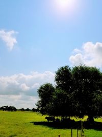 Scenic view of green landscape against sky