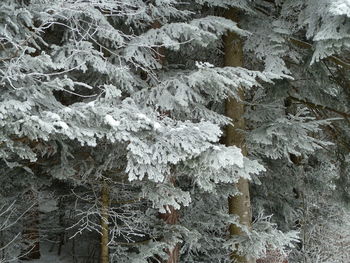 Full frame shot of snow