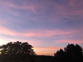 Low angle view of silhouette trees against sky during sunset