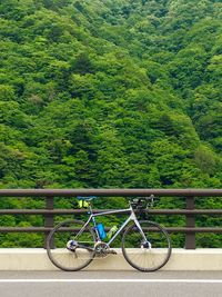 Bicycle by railing in forest