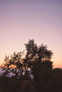 Silhouette trees against sky during sunset