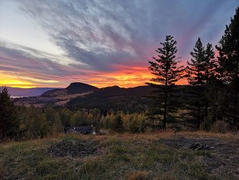 Scenic view of field against sky during sunset