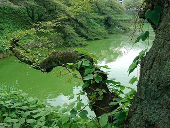 Scenic view of lake