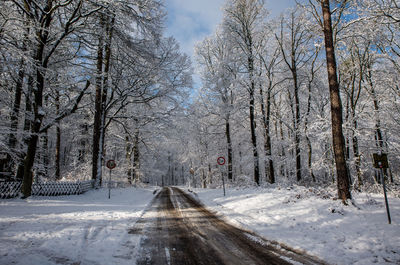 Road amidst bare trees during winter