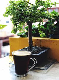 Close-up of coffee served on table