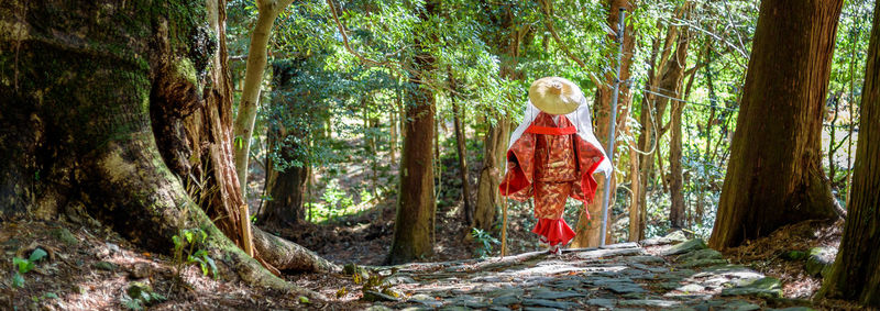 Rear view of woman walking in forest
