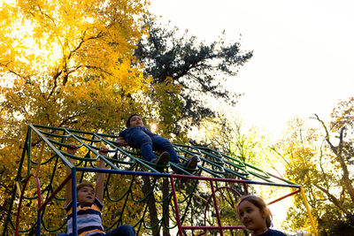 Low angle view of people sitting on tree during autumn