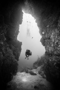 Low angle view of person swimming in sea