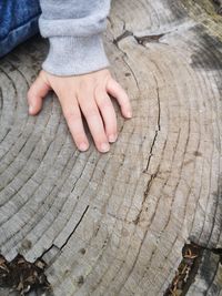 Midsection of person sitting on tree stump