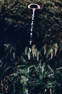 Close-up of water drop on grass