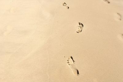 High angle view of footprints on sand at beach