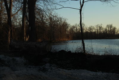 Scenic view of river in forest during winter