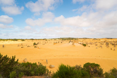 Scenic view of desert against sky