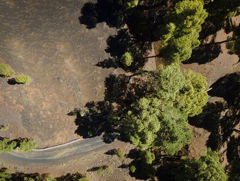 High angle view of road