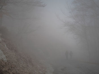 People walking on snow covered land