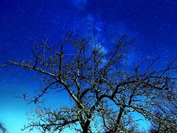 Low angle view of bare trees against blue sky