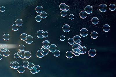 Close-up of bubbles against black background