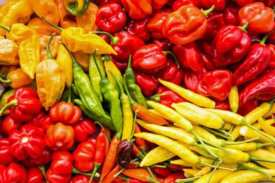 Full frame shot of various bell peppers and chili peppers