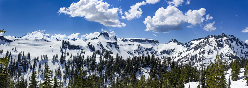 Low angle view of trees on snowcapped mountain against sky